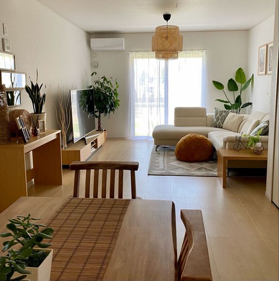 دکور خانه اجاره ای با گیاهان آپارتمانی